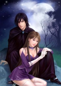 豪门世婚